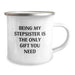 Funny Camping Mug Gifts for Stepsister - Being My Stepsister Is The Only Gift You Need, Christmas Unique Gifts from Family to Stepsister, 12 oz Stainless Steel - Image 2