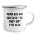 Funny Big Sister Gifts from Family Members - Being My Big Sister Is The Only Gift You Need, Camping Mug, Christmas Unique Gifts for Big Sisters - Image 2