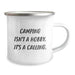 Camping Enthusiast Gifts from Men to Friends, Funny Camping Mug 'Camping Isn't A Hobby. It's A Calling.' for Christmas Unique Gifts - Image 2