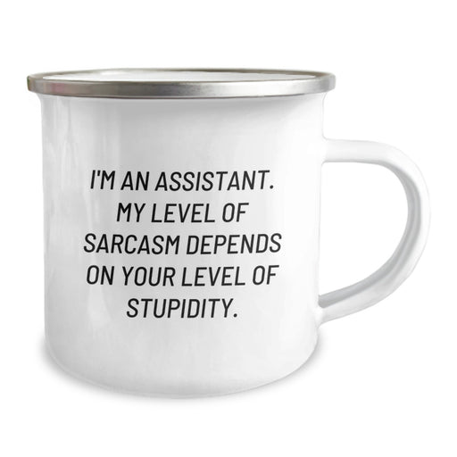 Funny Assistant Gifts from Friends or Family - Cute Camping Mug for Assistant with Sarcastic Quote - Father's Day Unique Gifts for Men or Women - Image 2