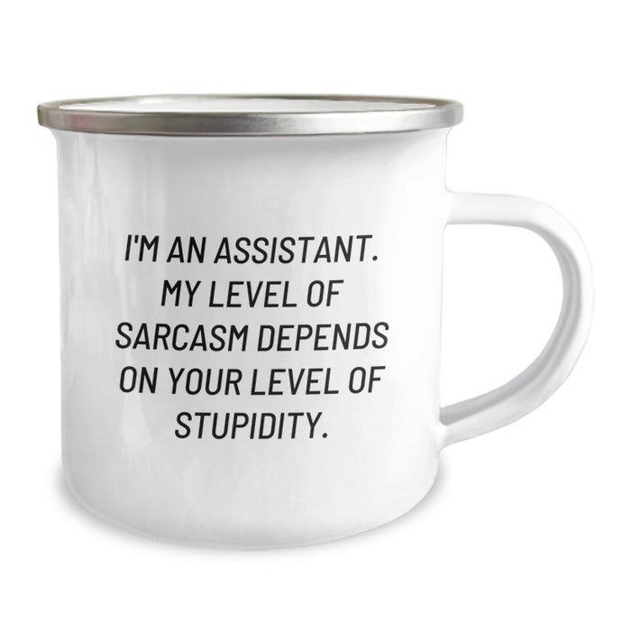 Funny Assistant Gifts from Friends or Family - Cute Camping Mug for Assistant with Sarcastic Quote - Father's Day Unique Gifts for Men or Women - Image 2