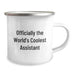 Funny Assistant Gifts from Men for Men - Officially The World's Coolest Assistant Christmas Unique Gifts for Assistant Friends - Image 2