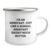 Funny Assistant Christmas Camping Mug Gifts from Friends to Assistant, Perfect for Assistant Lover, Hot Assistant Quote - Image 2