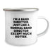 Funny Band Director Gifts from Friends - I'm A Band Director Except Much Hotter Christmas Unique Mugs for Band Directors - Image 2