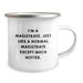 Magistrate Humor Gifts from Men, Gifts for Magistrates - Funny Camping Mug, Birthday Unique Gifts - Image 2