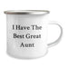 Funny Aunt Gifts from Family, 'I Have The Best Great Aunt' Graduation Unique Gifts Camping Mug, 12 oz Stainless Steel with Enamel Finish - Image 2