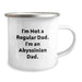Funny Abyssinian Cat Dad Gifts for Men, Unique Camping Mug for Christmas Unique Presents with Quote 'I'm Not A Regular Dad. I'm An Abyssinian Dad.' - Image 2