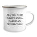 Funny Cardigan Welsh Corgi Dog Lover Gifts for Friends from Men Funny Camping Mug All You Need Is Love And A Cardigan Welsh Corgi Christmas Unique - Image 2