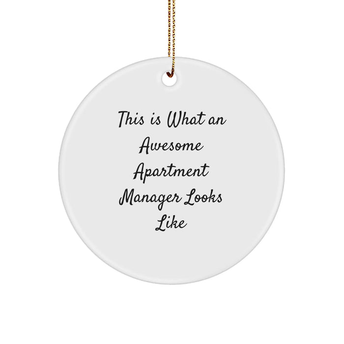 Funny Apartment Manager Gifts for Christmas - 'This Is What An Awesome Apartment Manager Looks Like' Circle Ornament from Friends to Family - Image 1