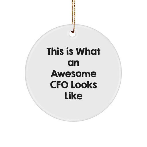 Funny CFO Gifts from Family and Friends for Christmas, This Is What an Awesome CFO Looks Like Circle Ornament, CFO Unique Gifts for Men and Women - Image 1