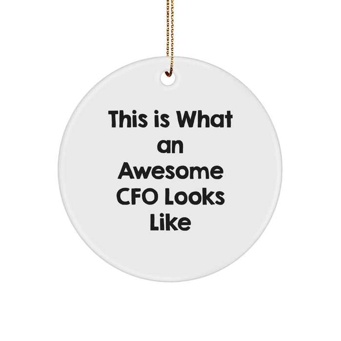 Funny CFO Gifts from Family and Friends for Christmas, This Is What an Awesome CFO Looks Like Circle Ornament, CFO Unique Gifts for Men and Women - Image 1