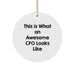 Funny CFO Gifts from Family and Friends for Christmas, This Is What an Awesome CFO Looks Like Circle Ornament, CFO Unique Gifts for Men and Women - Image 1