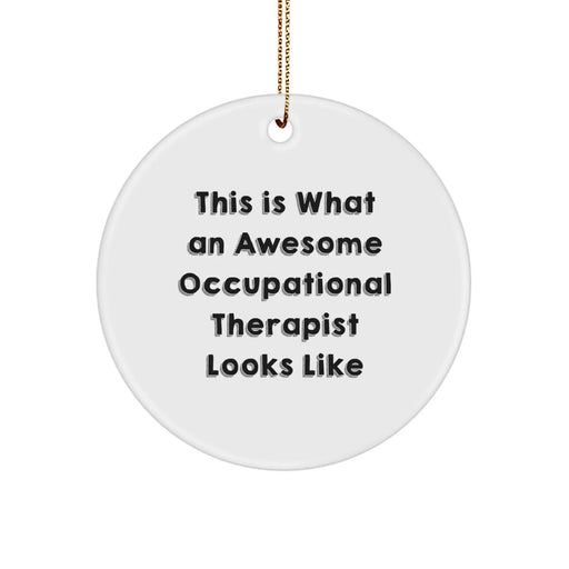 Funny Occupational Therapist Gifts from Friends, Unique Christmas Unique Gifts for Occupational Therapist, Circle Ornament with 'This Is What An Awesome Occupational Therapist Looks Like' Quote - Image 1