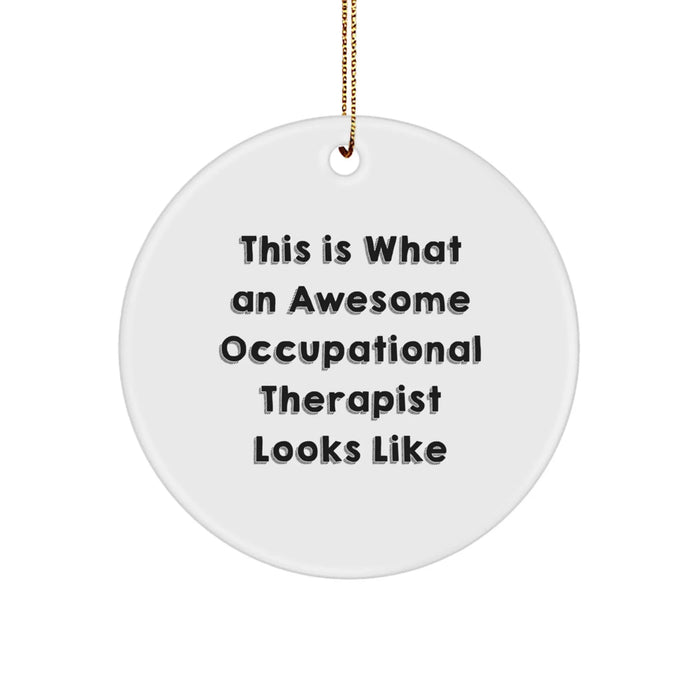 Funny Occupational Therapist Gifts from Friends, Unique Christmas Unique Gifts for Occupational Therapist, Circle Ornament with 'This Is What An Awesome Occupational Therapist Looks Like' Quote - Image 1