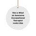 Funny Occupational Therapist Gifts from Friends, Unique Christmas Unique Gifts for Occupational Therapist, Circle Ornament with 'This Is What An Awesome Occupational Therapist Looks Like' Quote - Image 1