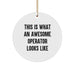 Funny Operator Circle Ornament, Gifts from Friends for Operator, Christmas Unique Circle Ornaments with This Is What An Awesome Operator Looks Like Quote - Image 1