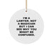 Funny Lawyer Gifts for Men, Women - I'm A Lawyer Circle Ornament, Christmas Unique Decorations from Friends, Coworkers - Image 1