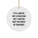 Funny Lawyer Gifts from Friends - Christmas Unique Circle Ornament Not a Magician Gifts for Lawyer - Image 1