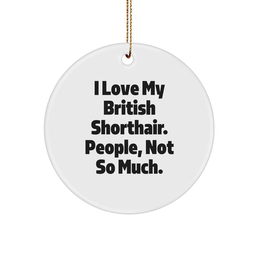 British Shorthair Cat Enthusiasts Gifts from Family for Christmas Unique British Shorthair Cat Circle Ornaments Funny Quote - Image 1