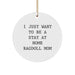 Funny Ragdoll Cat Lover Gifts from Family for Home Decor Christmas Unique Ornaments, I 'Just Want To Be A Stay At Home Ragdoll Mom' Circle Ornament - Image 1