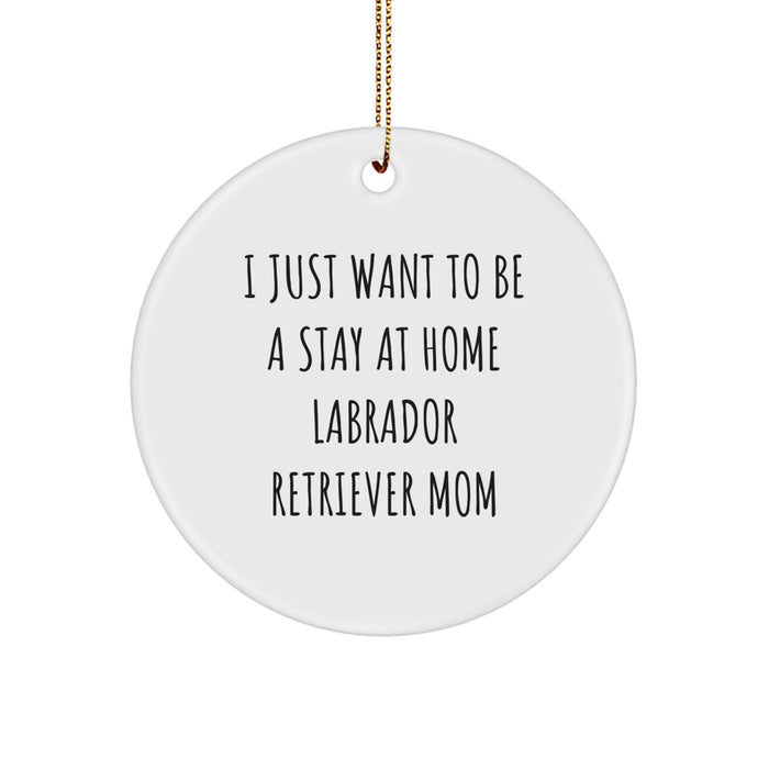 'I Just Want To Be A Stay At Home Labrador Retriever Mom' Funny Christmas Unique Gift for Labrador Retriever Dog Lover Gifts from Family or Friends - Image 1