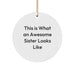 Funny Sister Gifts from Men, Women, or Friends - This Is What An Awesome Sister Looks Like Circle Ornament for Christmas Unique Presents - Image 1