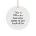 Funny Sister-in-law Gifts, Sister-in-law Circle Ornament, Christmas Unique Gifts from Men to Sister-in-law, 'This Is What An Awesome Sister-in-law Looks Like' - Image 1
