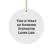 Funny Stepsister Gifts from Men - Inspirational Circle Ornament for Christmas Unique Gifts - This Is What An Awesome Stepsister Looks Like - Image 1
