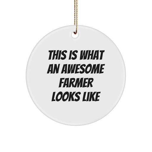 Farmer Gifts from Friends - Christmas Circle Ornament with Quote 'This Is What An Awesome Farmer Looks Like' for Men, Women, Family - Image 1