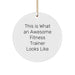 Fitness Trainer Gifts from Friends, This Is What An Awesome Fitness Trainer Looks Like, Circle Ornament for Christmas - Image 1