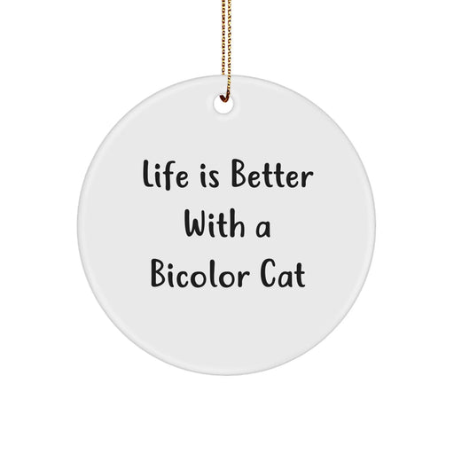 Funny Bicolor Cat Circle Ornament Gifts from Family, Friends, or Coworkers for Christmas - Image 1