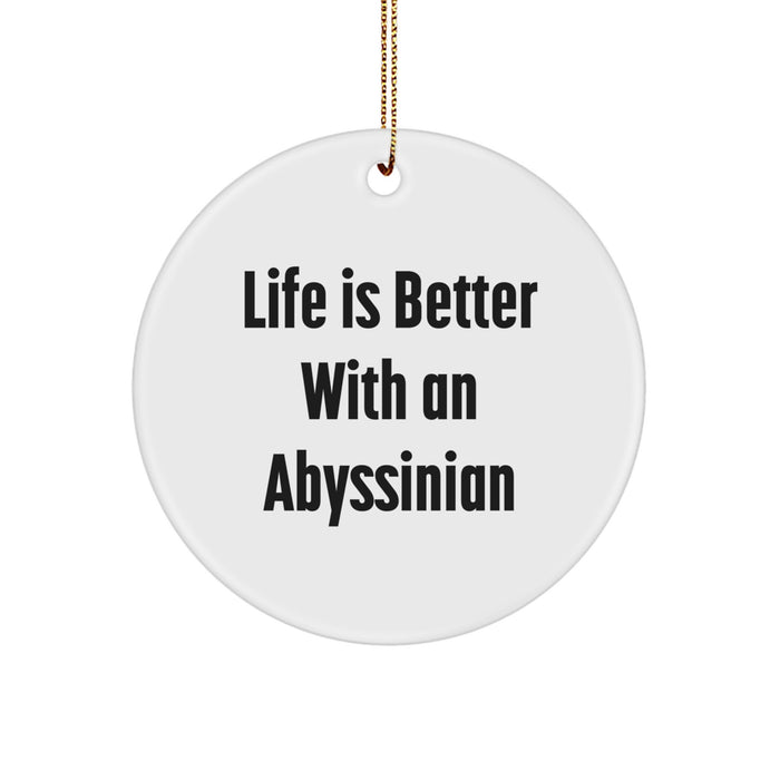 Abyssinian Cat Lovers Gifts from Family for Christmas Unique Circle Ornament Life Is Better With An Abyssinian - Image 1