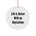 Abyssinian Cat Lovers Gifts from Family for Christmas Unique Circle Ornament Life Is Better With An Abyssinian - Image 1