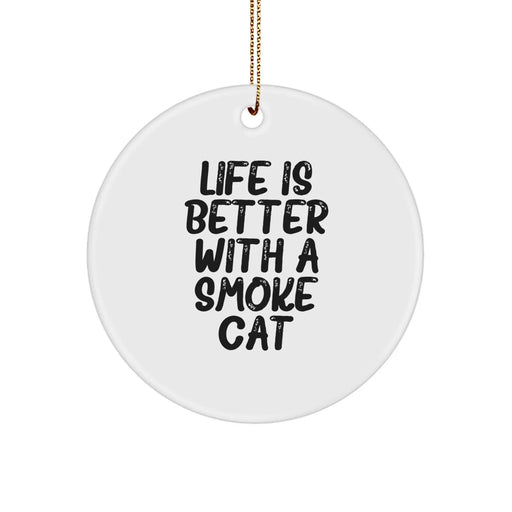 Funny Smoke Cat Circle Ornament Gifts from Friends and Family for Christmas Decorations - Life Is Better With A Smoke Cat - Image 1