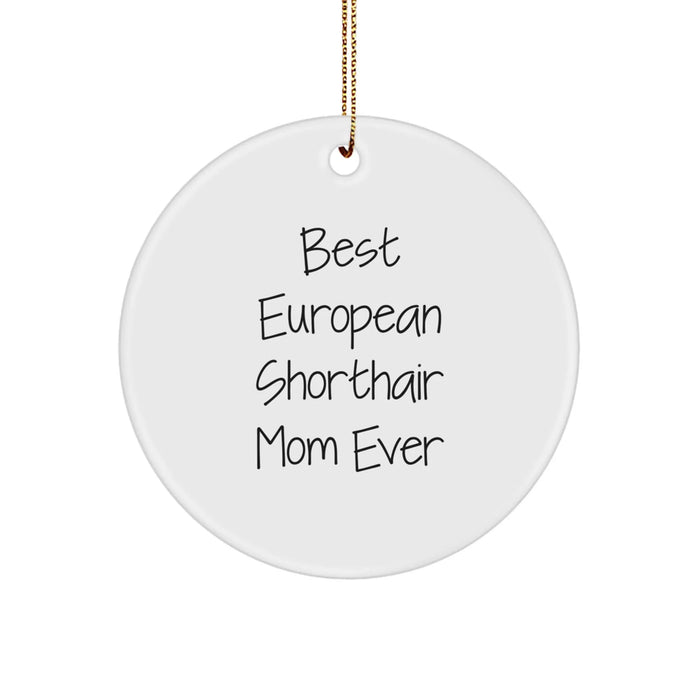 European Shorthair Cat Mom's Funny Quote Circle Ornament Gifts for Her, from Family, Friends, or Coworkers this Christmas - Image 1