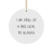 Alaska Circle Ornament, I Am Kind Of A Prime Selection In Alaska, Funny Quote, Gifts from Family, Gifts for Alaska Lovers - Image 1