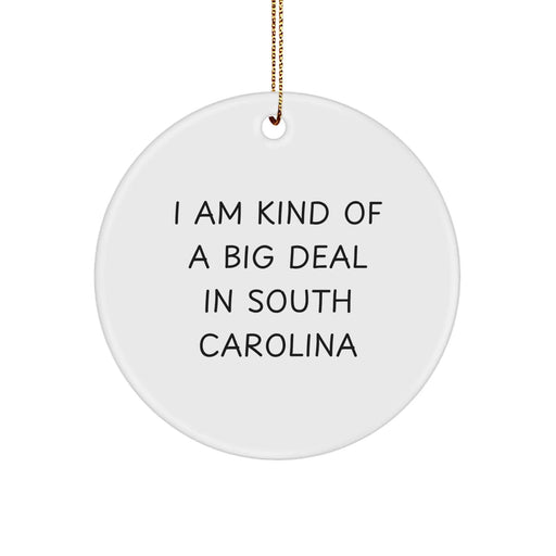 Funny South Carolina Gifts for Men, Women, Friends, or Family - I Am Kind Of A Prime Selection In South Carolina Circle Ornament - Christmas Unique Gifts from South Carolina - Image 1