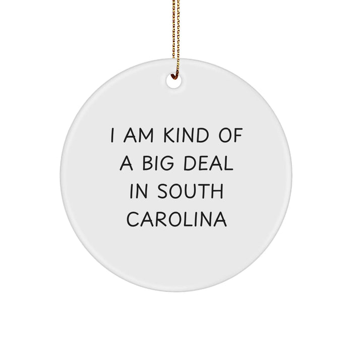Funny South Carolina Gifts for Men, Women, Friends, or Family - I Am Kind Of A Prime Selection In South Carolina Circle Ornament - Christmas Unique Gifts from South Carolina - Image 1