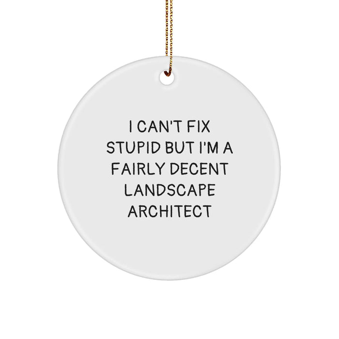 Funny Landscape Architect Gifts from Friends - 'I Can't Fix Stupid' Circle Ornament for Christmas Unique Gifts for Landscape Architect - Image 1