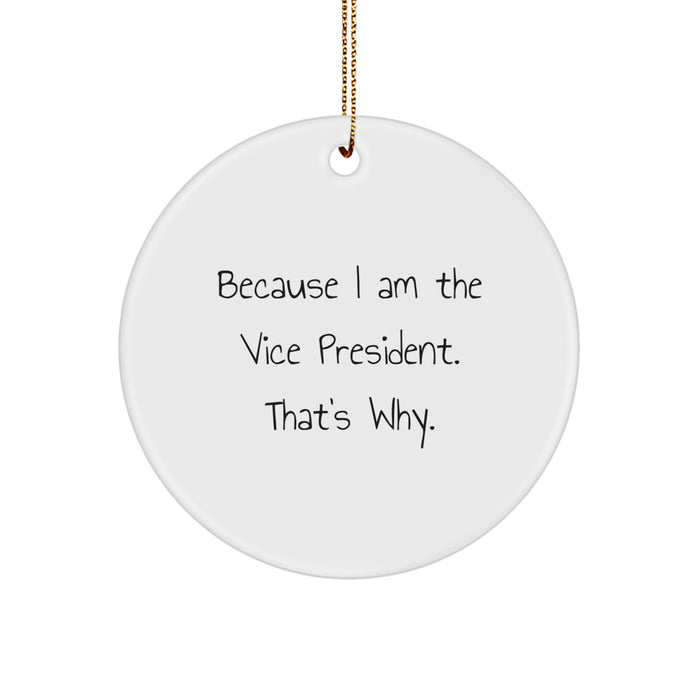 Funny Vice President Gifts from Friends and Family for Christmas Unique Ornaments Because 'I Am The Vice President. That's Why.' - Image 1
