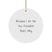 Funny Vice President Gifts from Friends and Family for Christmas Unique Ornaments Because 'I Am The Vice President. That's Why.' - Image 1