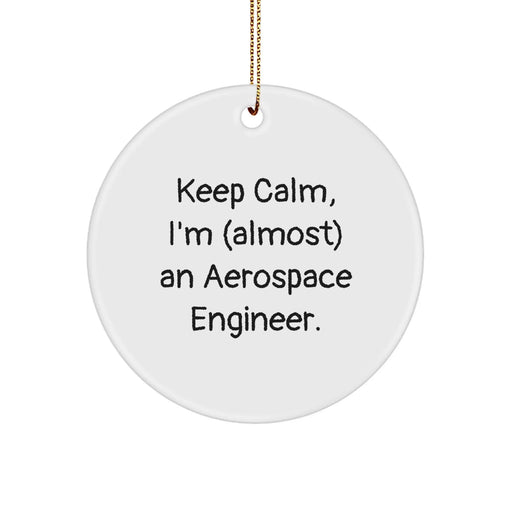 Funny Aerospace Engineer Circle Ornament Gifts for Him from Friends and Family, Keep Calm I'm (almost) An Aerospace Engineer Christmas Unique Gift - Image 1