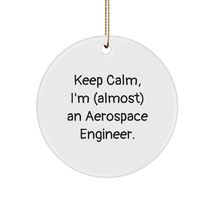 Funny Aerospace Engineer Circle Ornament Gifts for Him from Friends and Family, Keep Calm I'm (almost) An Aerospace Engineer Christmas Unique Gift - Image 1