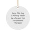 Funny Occupational Therapist Gifts for Men by Friends, Circle Ornament Quote, Christmas Unique Presents from Women - Image 1