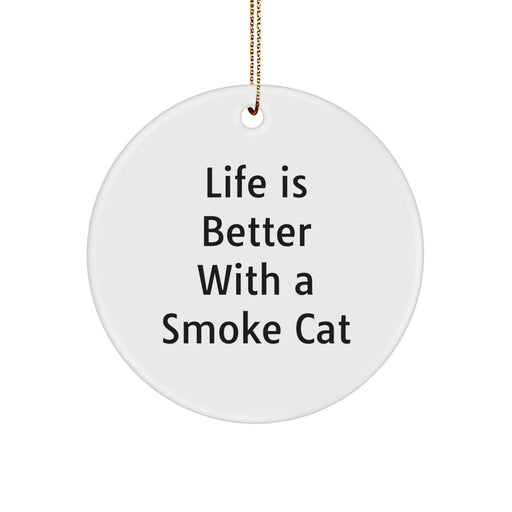Funny Smoke Cat Gifts for Friends, Christmas Unique Circle Ornament with Life Is Better With A Smoke Cat Quote, Gifts from Men to Women - Image 1