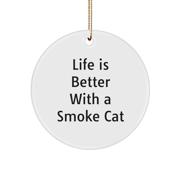 Funny Smoke Cat Gifts for Friends, Christmas Unique Circle Ornament with Life Is Better With A Smoke Cat Quote, Gifts from Men to Women - Image 1