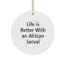 African Serval Cat Christmas Unique Gifts from Men for Women Friends Family Circle Ornament Life Is Better With An African Serval - Image 1