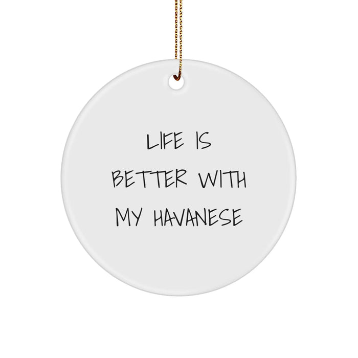 Havanese Dog Lover Gifts for Men Women Friends - Funny Circle Ornament - 'Life Is Better With My Havanese' Christmas Unique Gifts from Family - Image 1