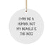 Funny Beagle Dog Christmas Unique Gifts from Men to Family for Beagle Lovers with Circle Ornament - I May Be A Human, But My Beagle Is The Boss - Image 1