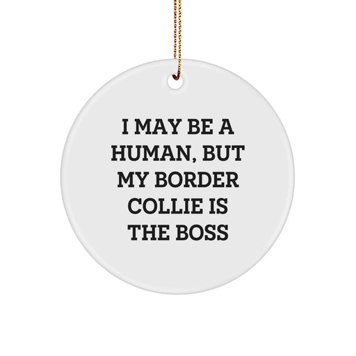 Funny Border Collie Dog Lover Gifts from Friends to Family for Christmas Unique Ornament - Image 1